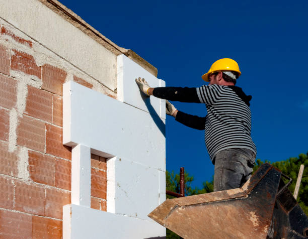 Best Residential Insulation in Baraga, MI